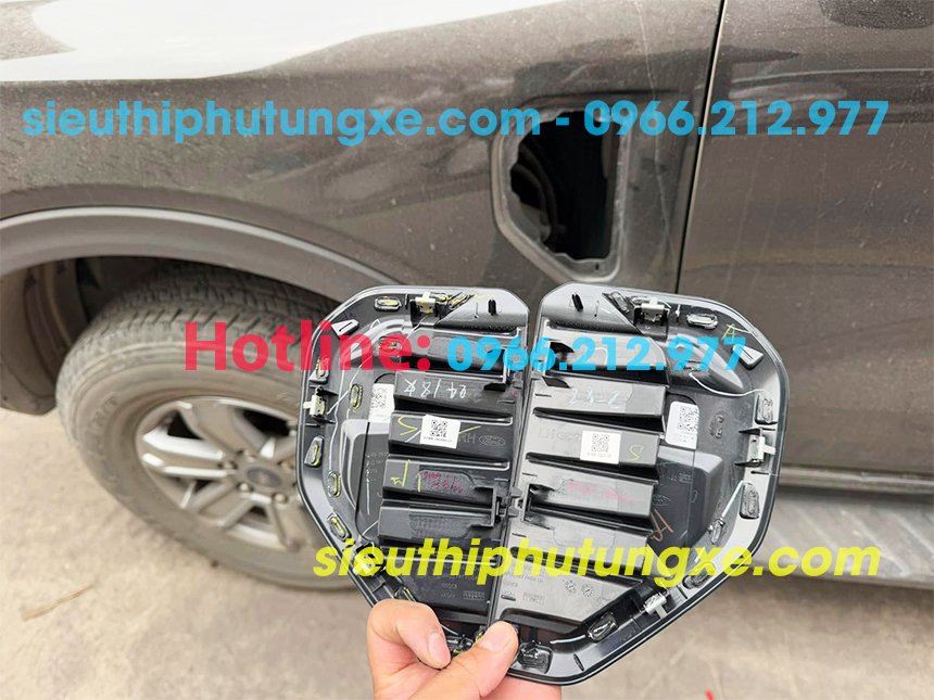 Cặp mang cá xe Ford Ranger