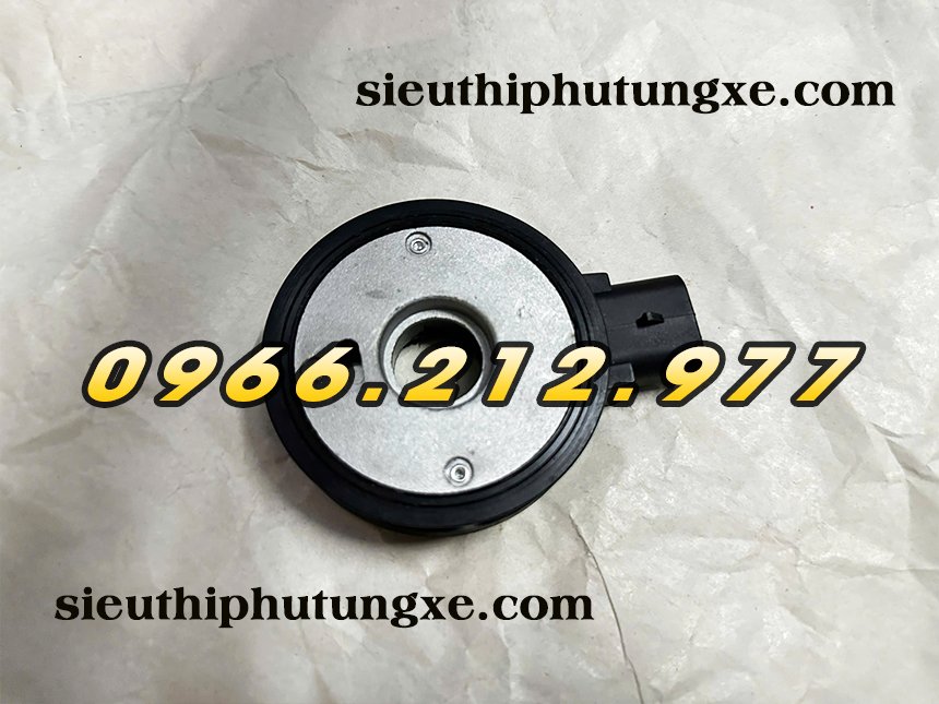 Cảm biến lọc tinh xe tải Đô Thành IZ49 IZ65