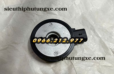 cam bien loc tinh xe tai do thanh iz65